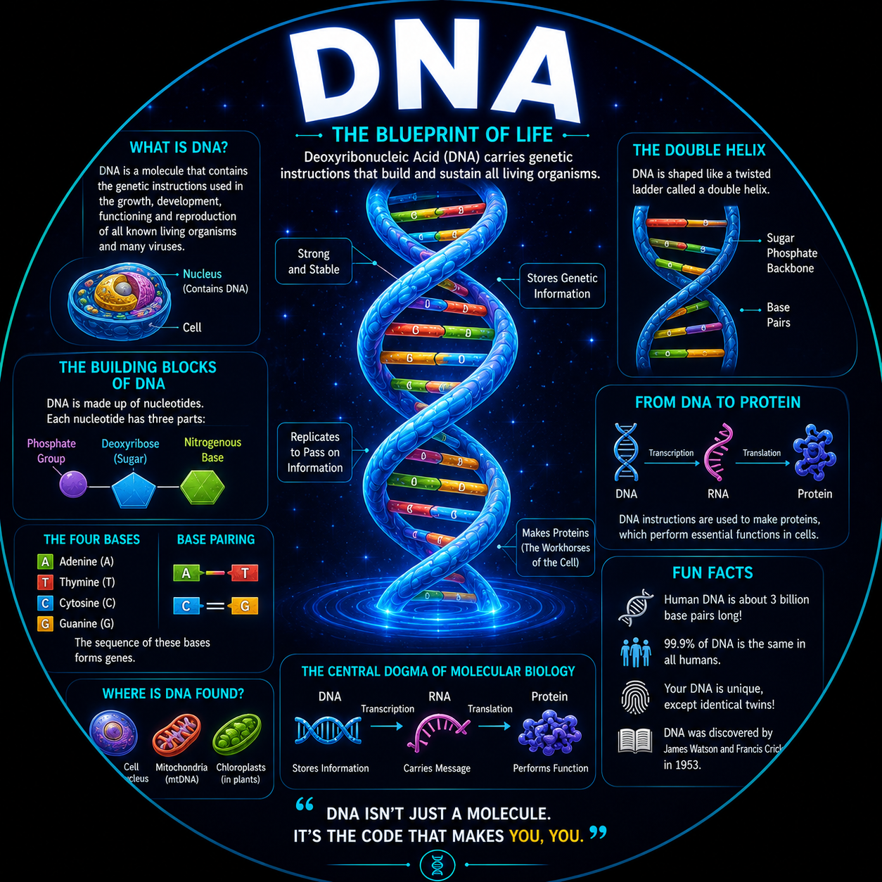 DNA